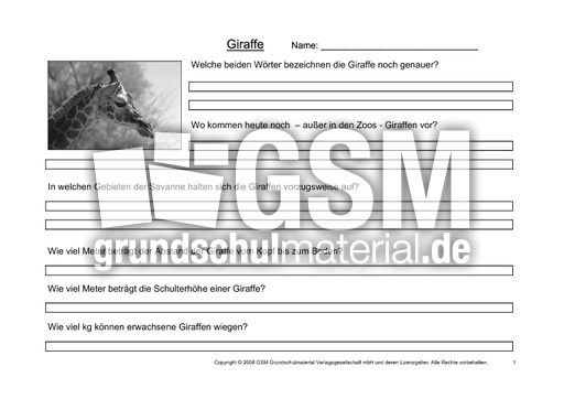 Giraffe-Fragen-1.pdf